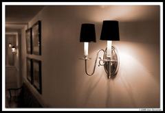 11960IMG_1596.jpg