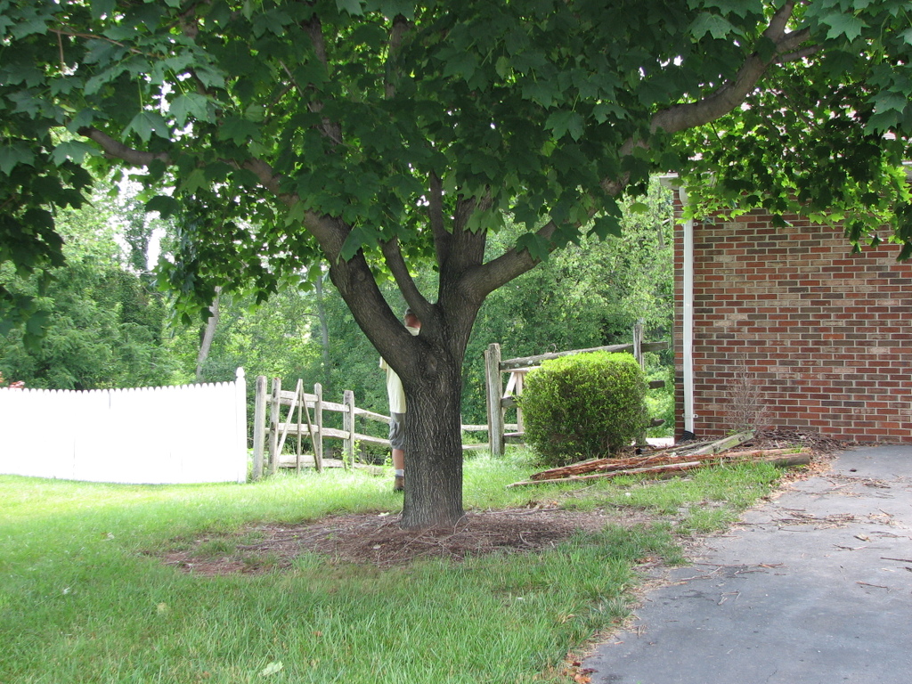 Landscaping, before