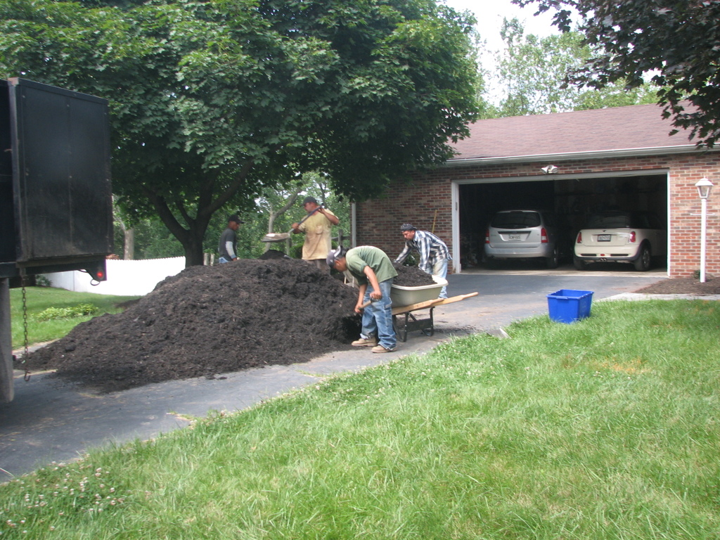 Landscaping, during