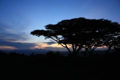 Ngorongoro at sunset