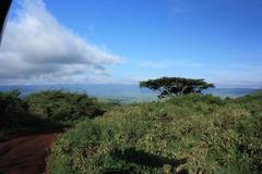 Descending into the Ngorongoro Crater